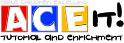 Ace IT Tutoring